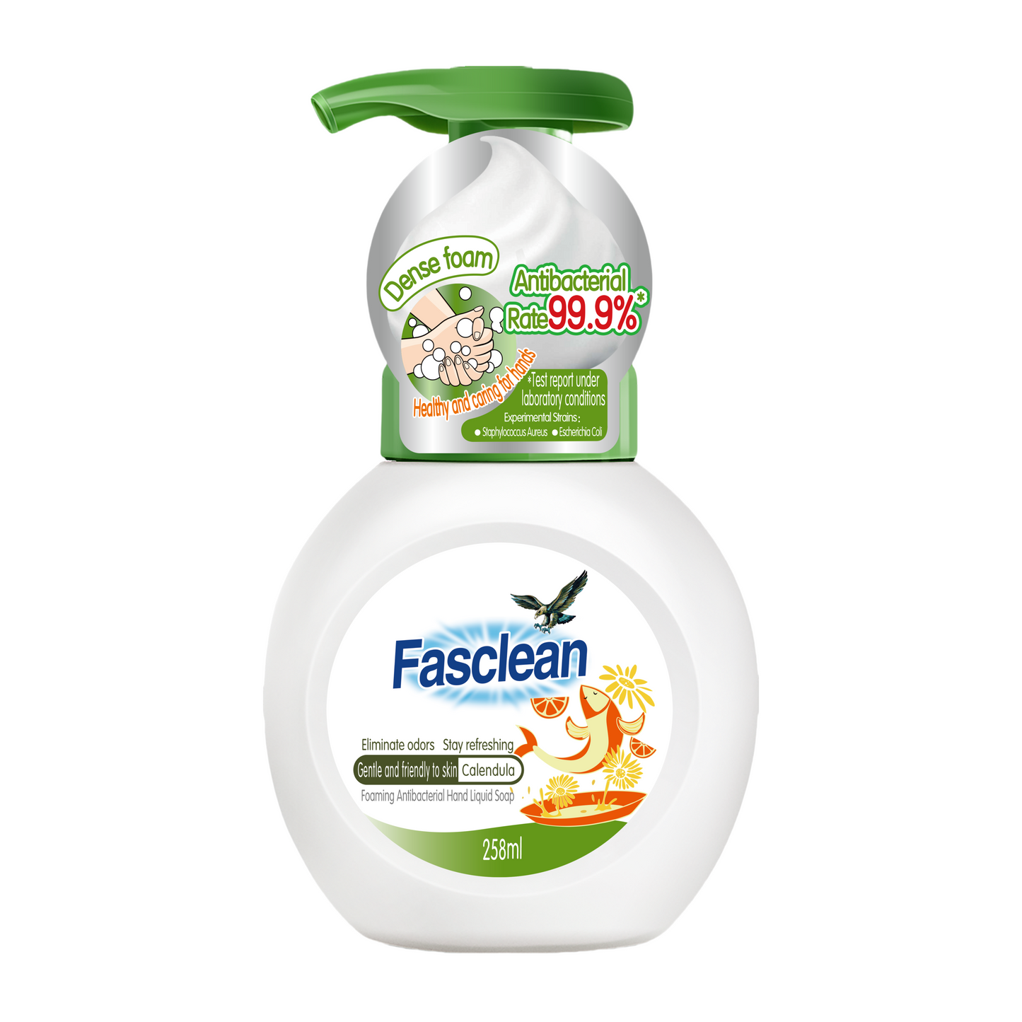 Fasclean Foaming Hand Wash